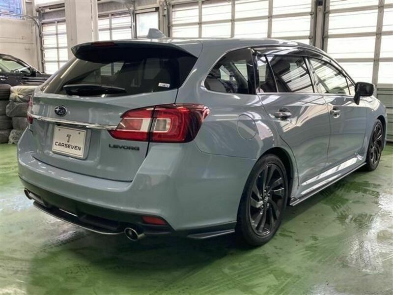 LEVORG-4