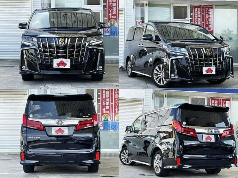 ALPHARD-8