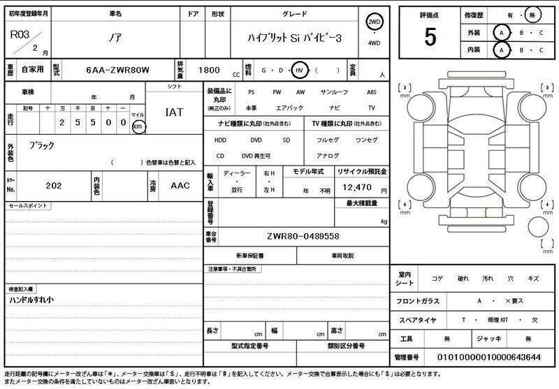 NOAH-10