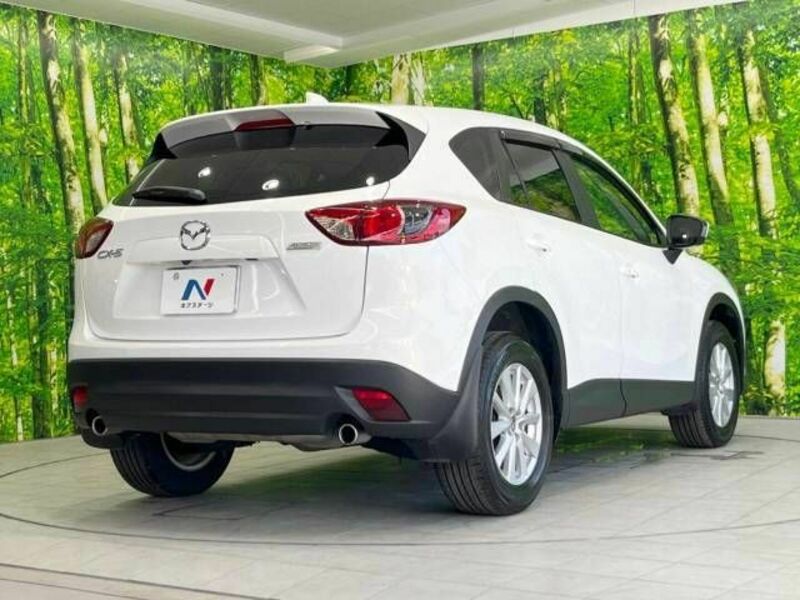 CX-5-17