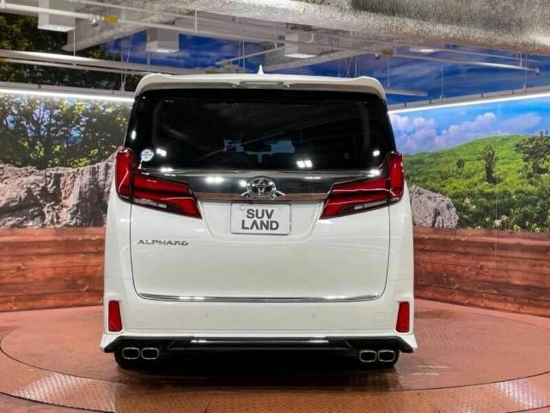 ALPHARD-17