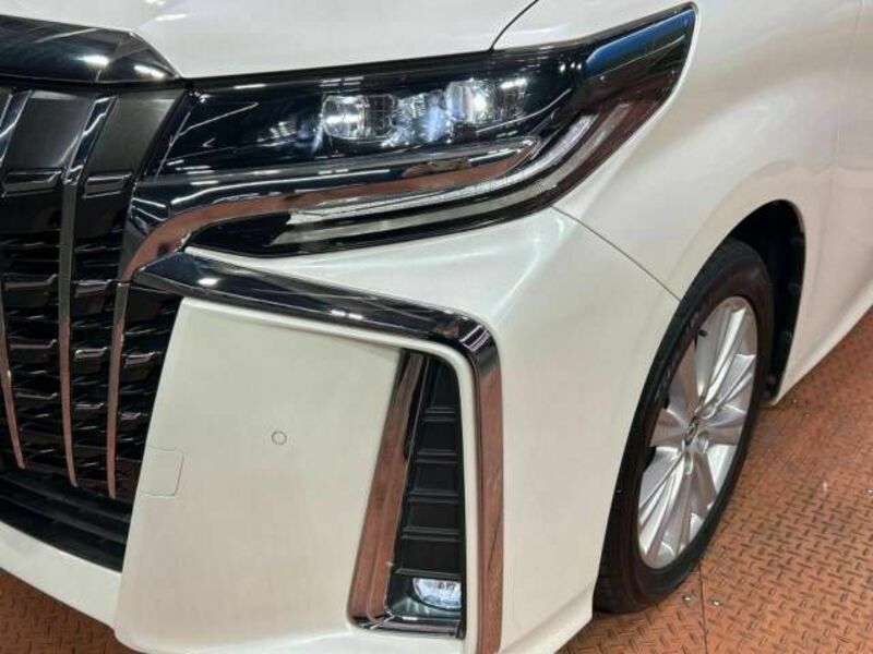 ALPHARD-12