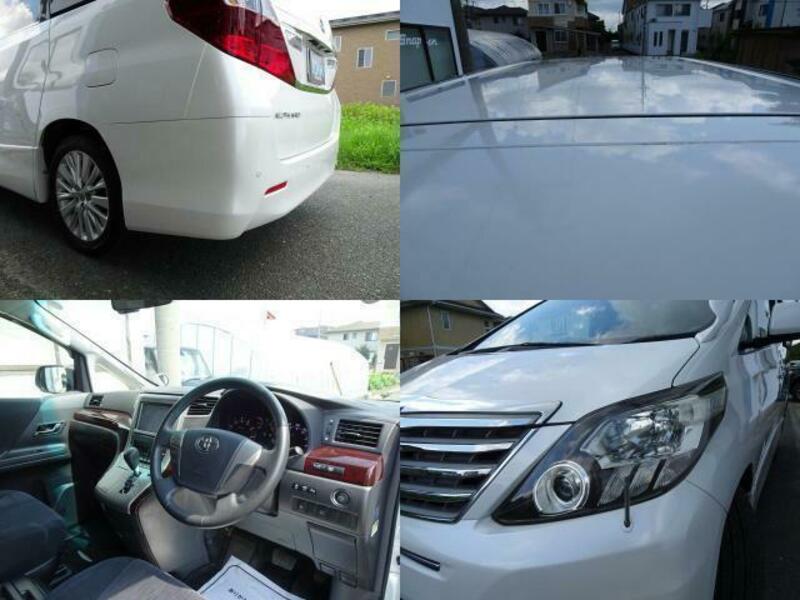 ALPHARD-12