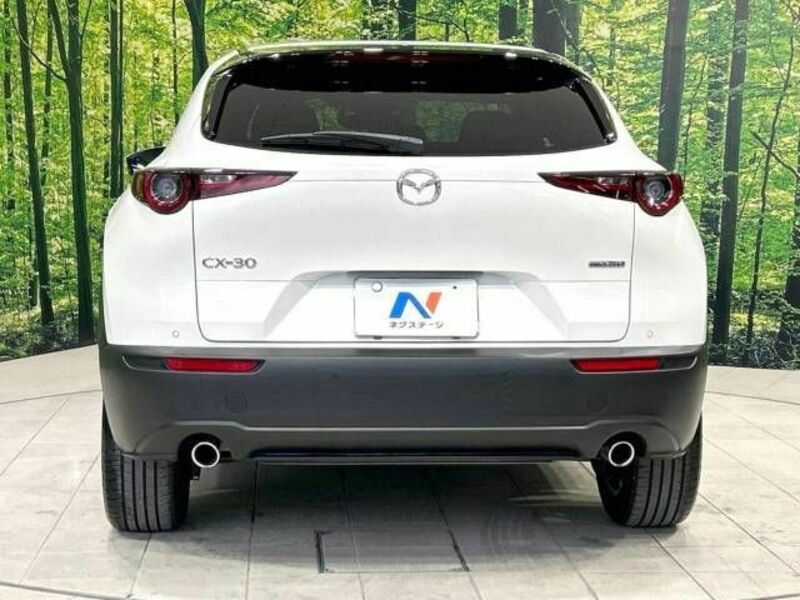 CX-30-15