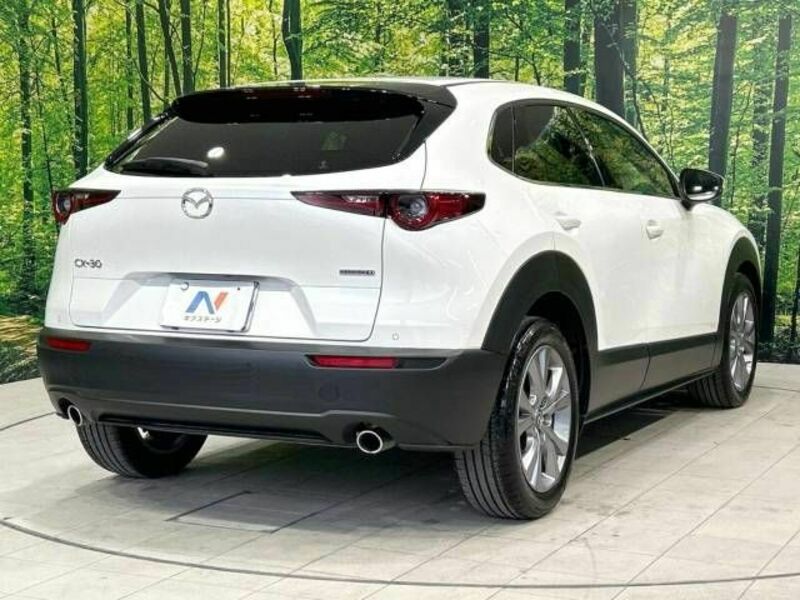 CX-30-17