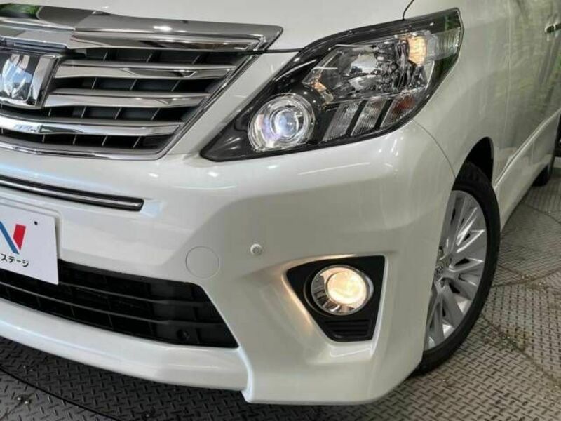 ALPHARD-13