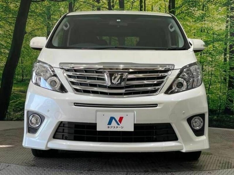 ALPHARD-15