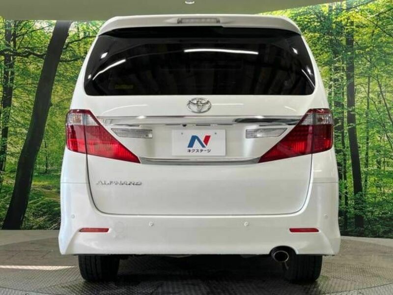 ALPHARD-16