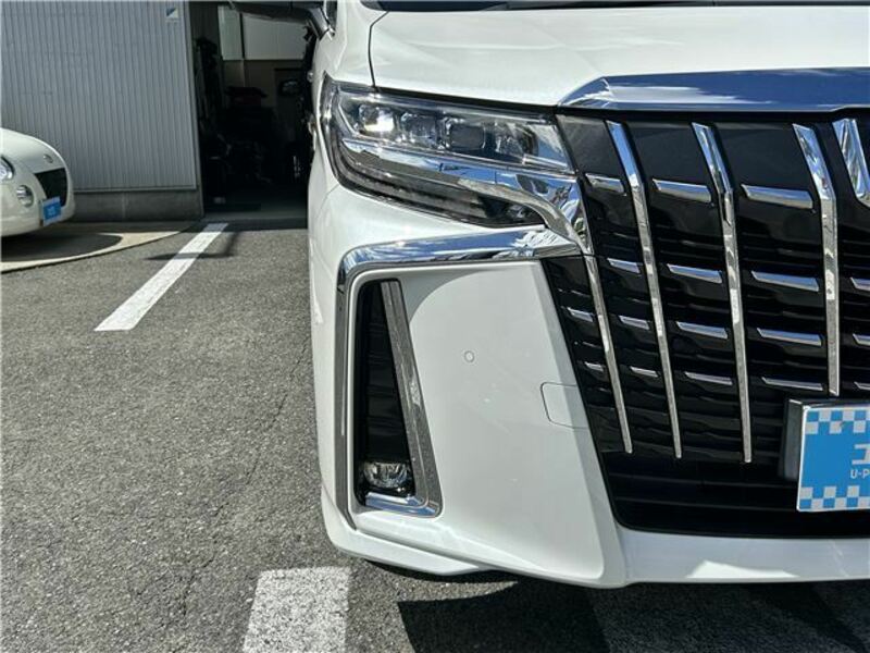 ALPHARD-7