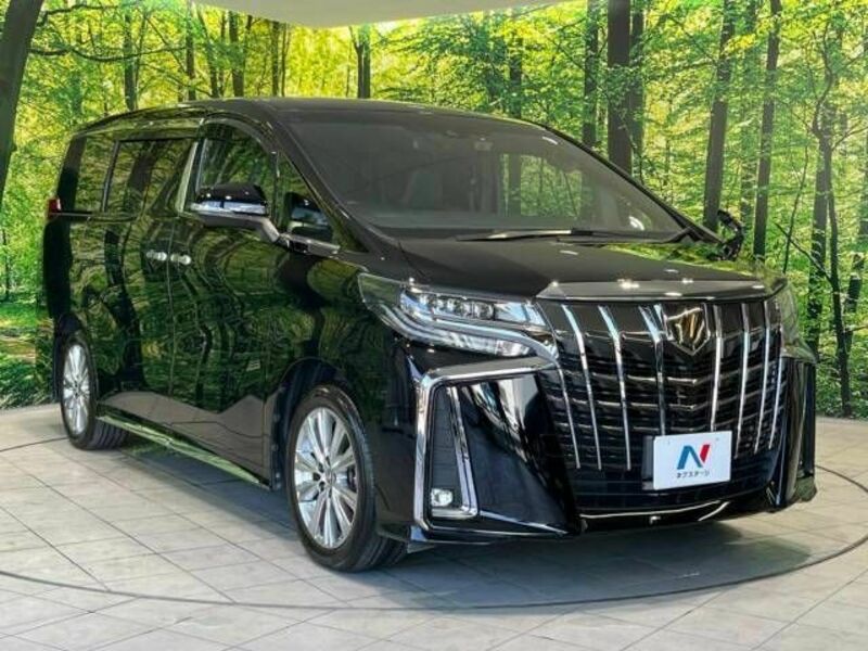 ALPHARD-17