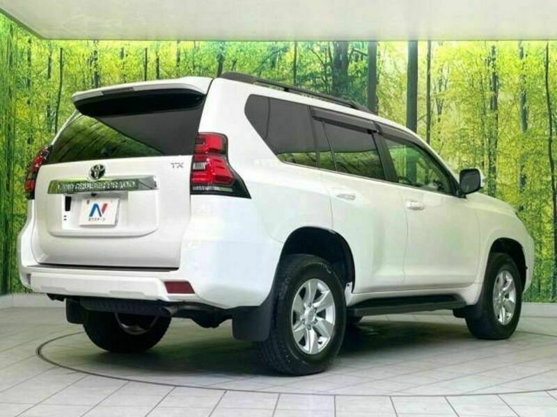 LAND CRUISER PRADO-17