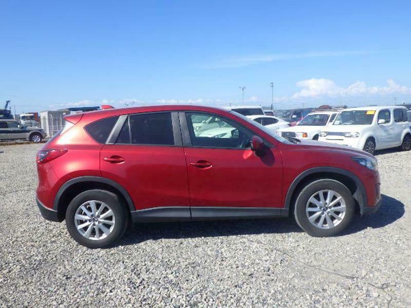 CX-5-31