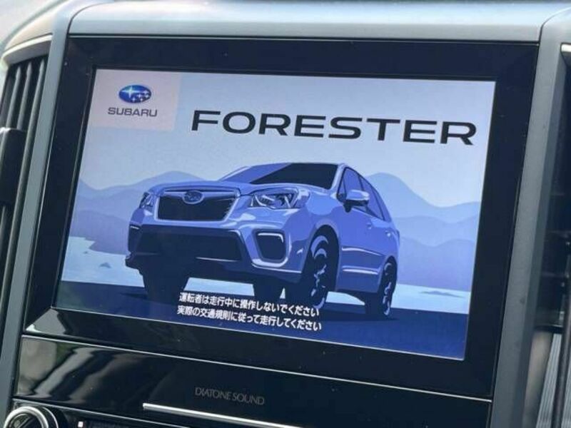 FORESTER-3