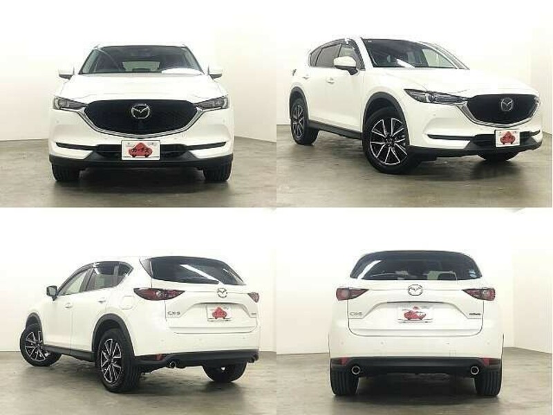 CX-5-8