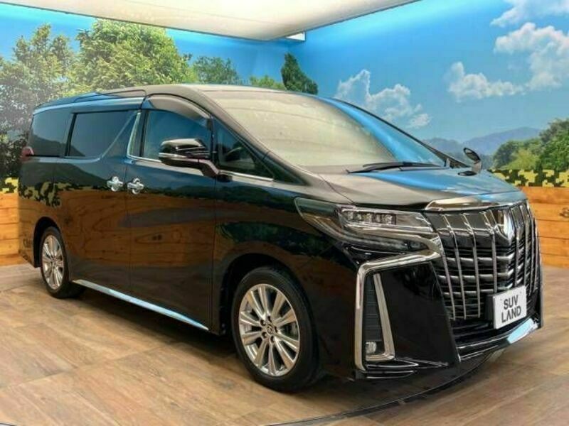 ALPHARD-17