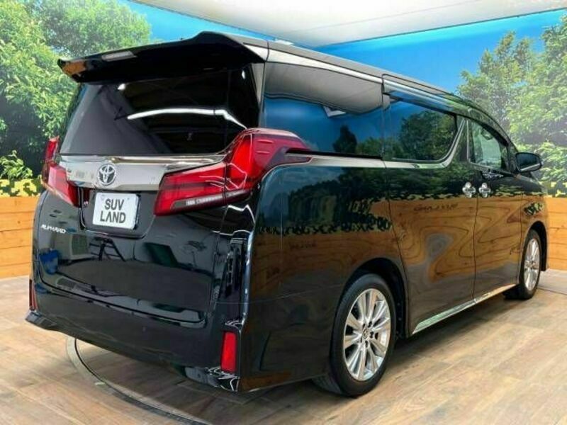 ALPHARD-18