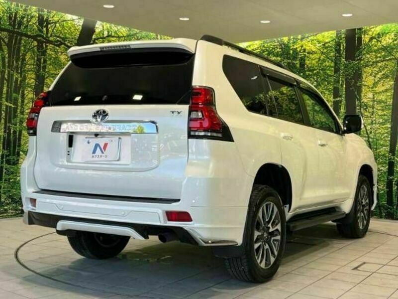 LAND CRUISER PRADO-17