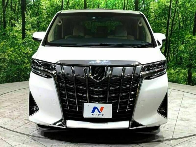 ALPHARD-17