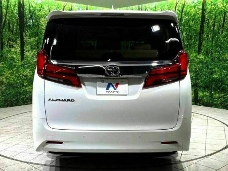 ALPHARD-18