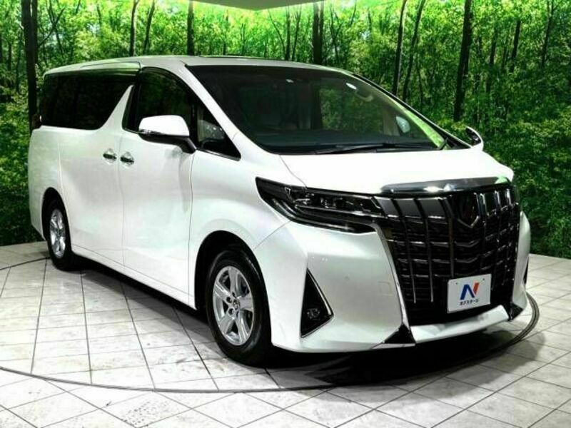 ALPHARD-19