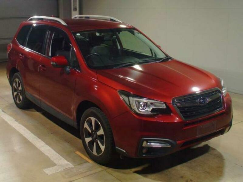 FORESTER-6