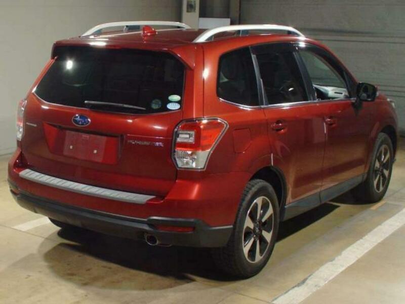 FORESTER-7