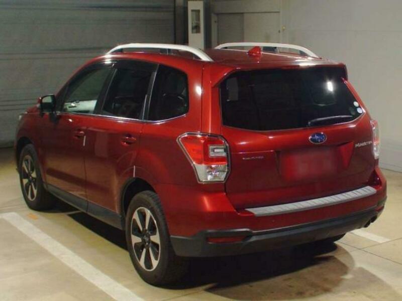 FORESTER-1