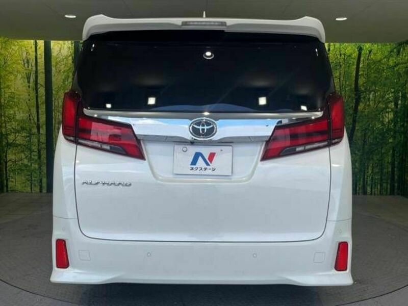 ALPHARD-16