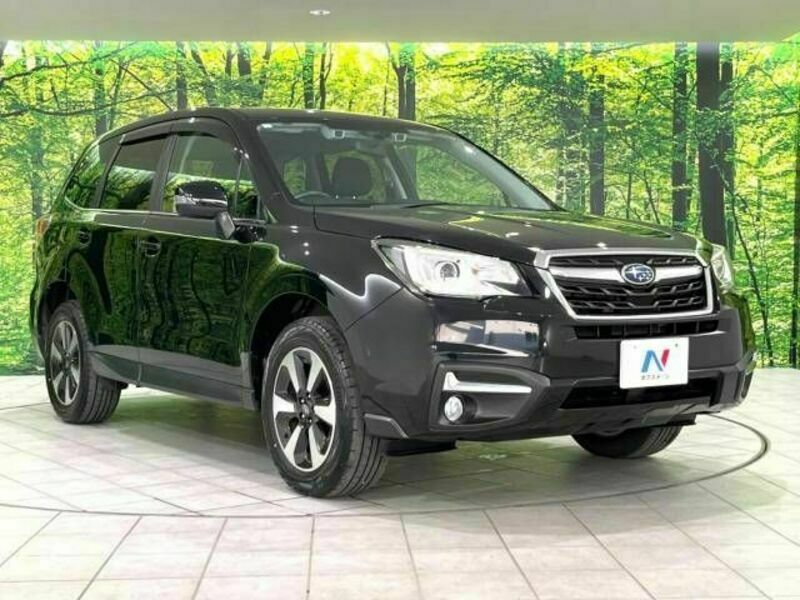 FORESTER-16