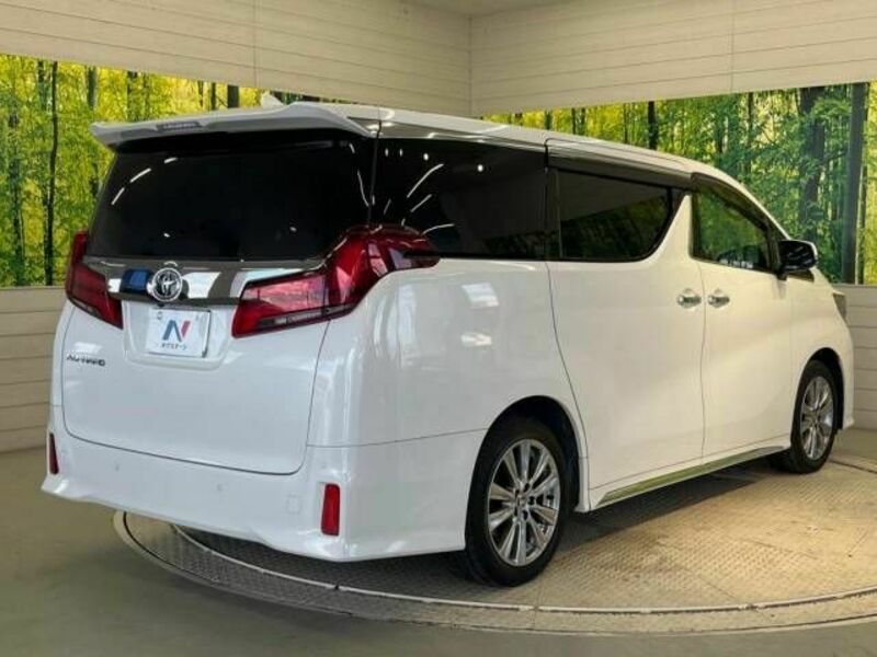 ALPHARD-17