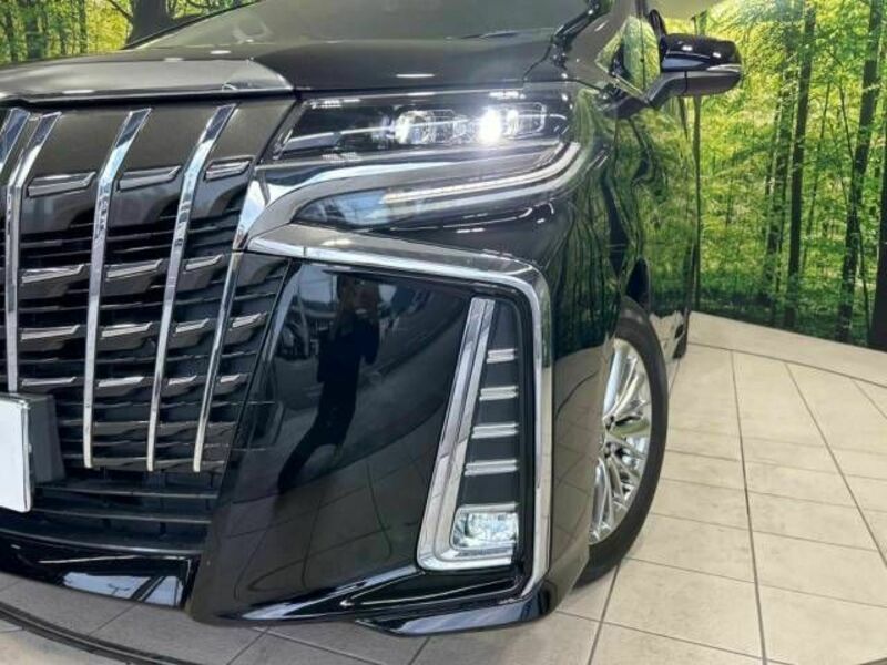 ALPHARD-13