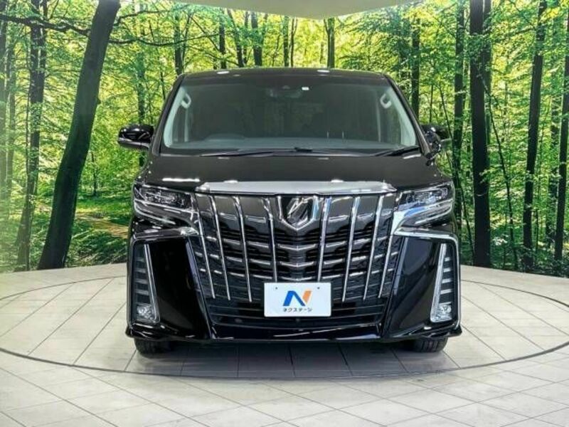 ALPHARD-15