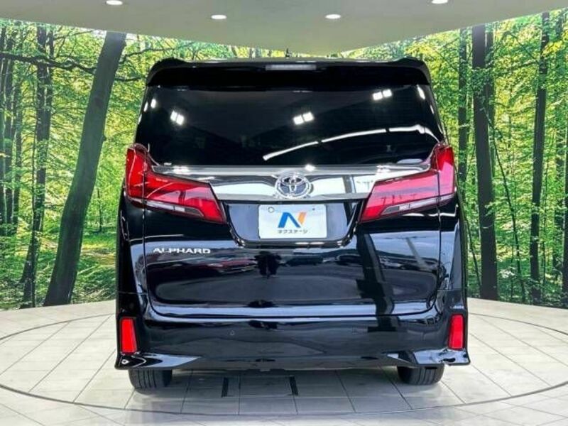 ALPHARD-16