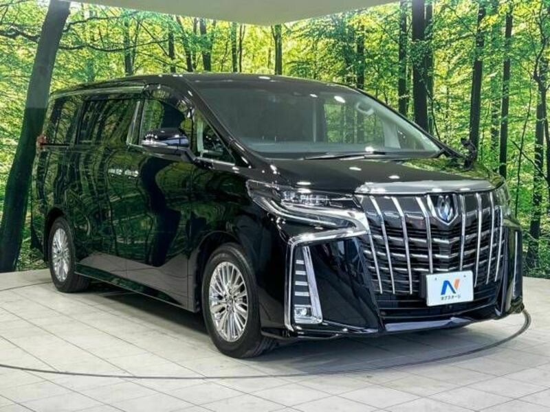 ALPHARD-17