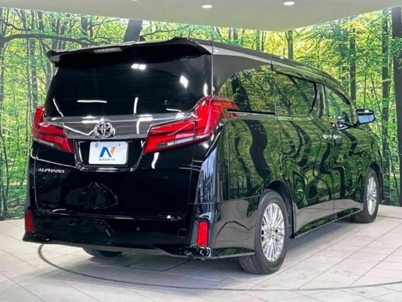 ALPHARD-18