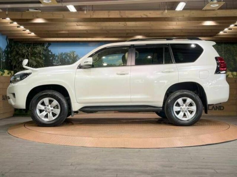 LAND CRUISER PRADO-18