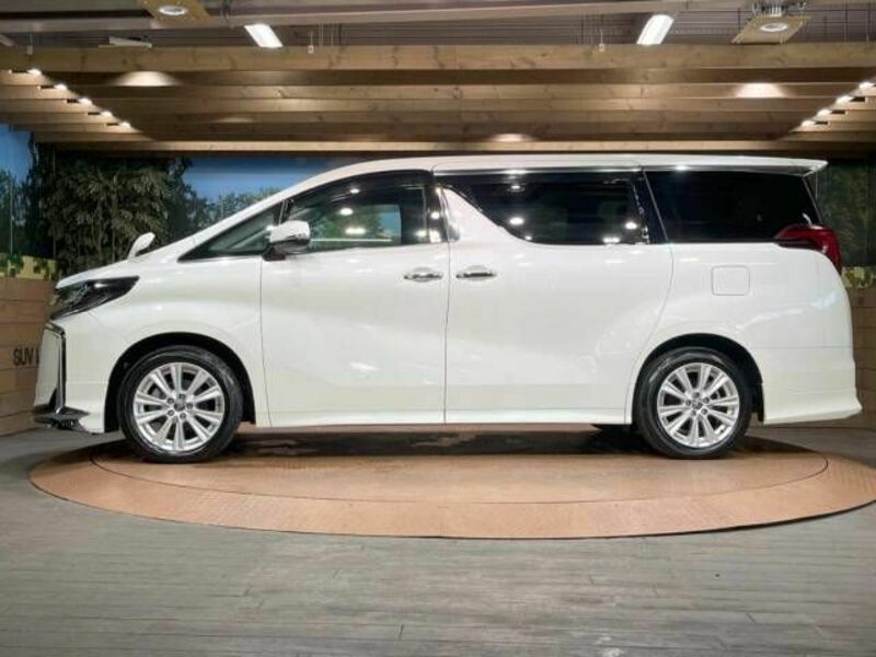 ALPHARD-19