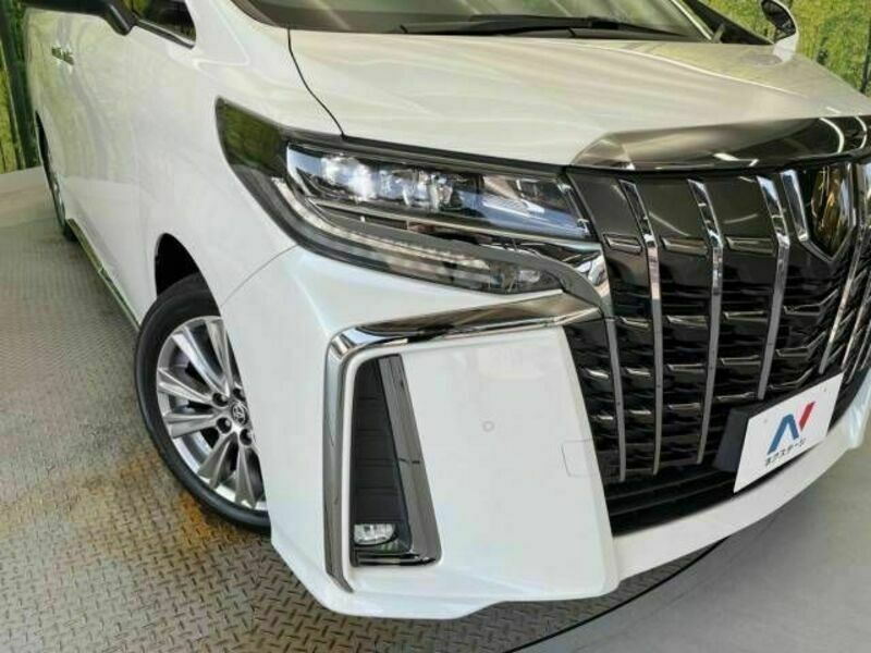 ALPHARD-12