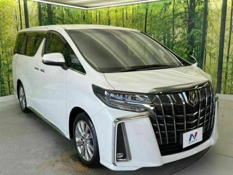 ALPHARD-17