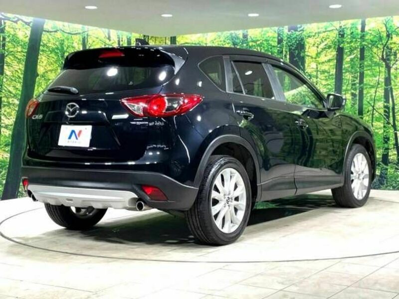 CX-5-17