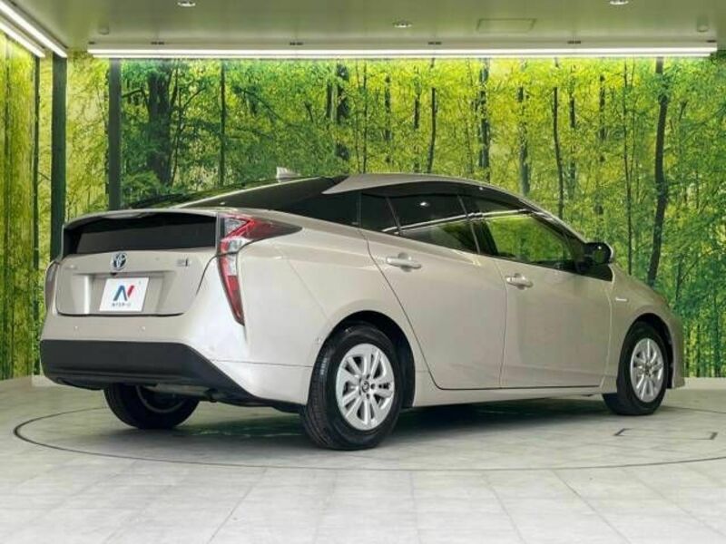 PRIUS-17