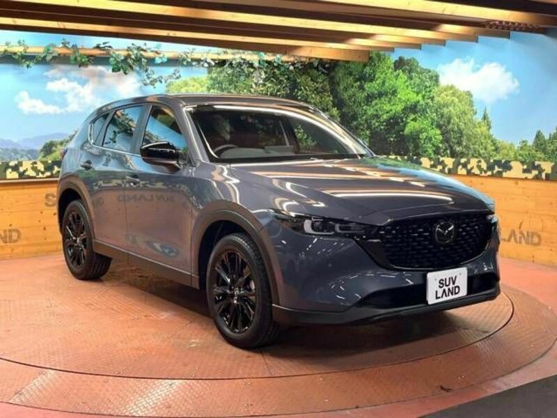 CX-5-16