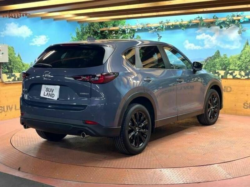 CX-5-17