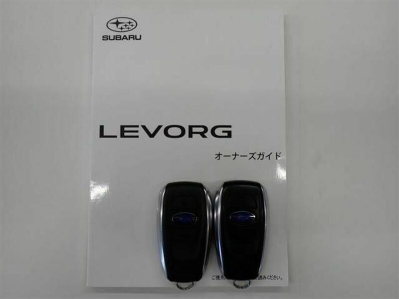 LEVORG-2