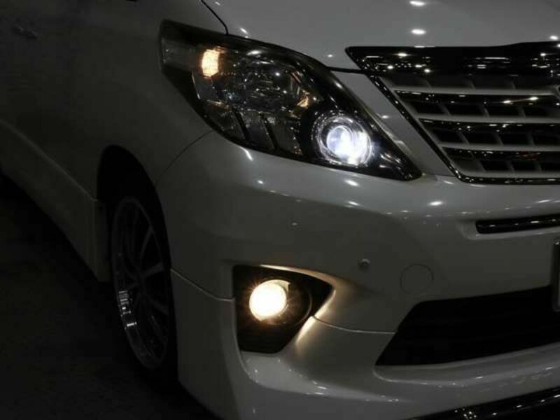 ALPHARD-14