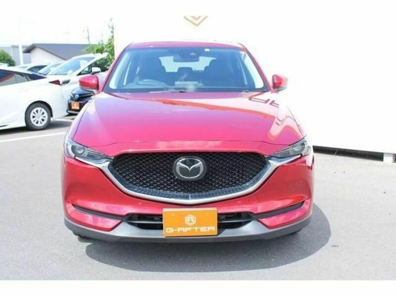 CX-5-6