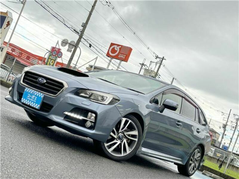 LEVORG-43