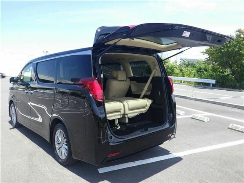 ALPHARD-7