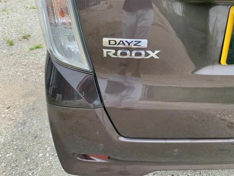 DAYZ ROOX-13