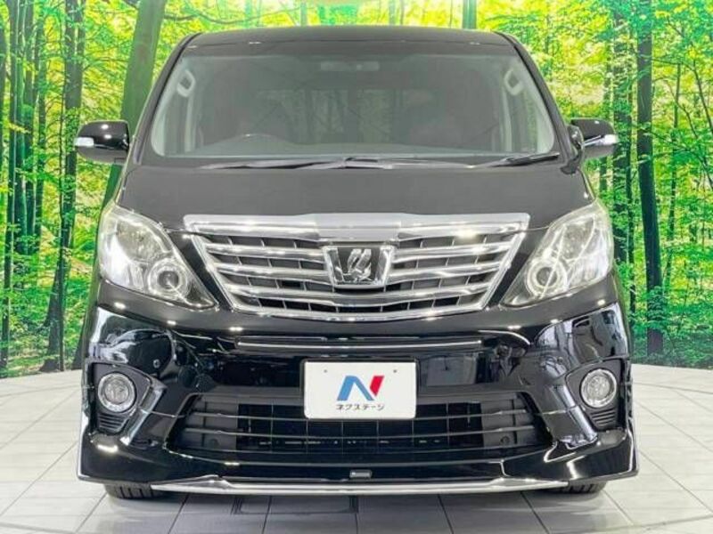 ALPHARD-15